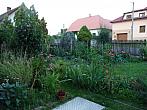 Třibřichy